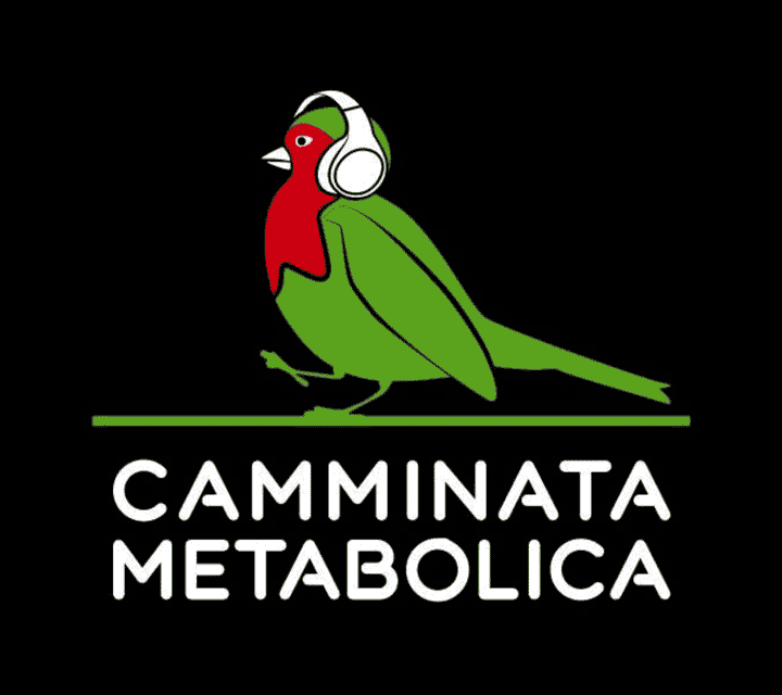camminata metabolica tibi
